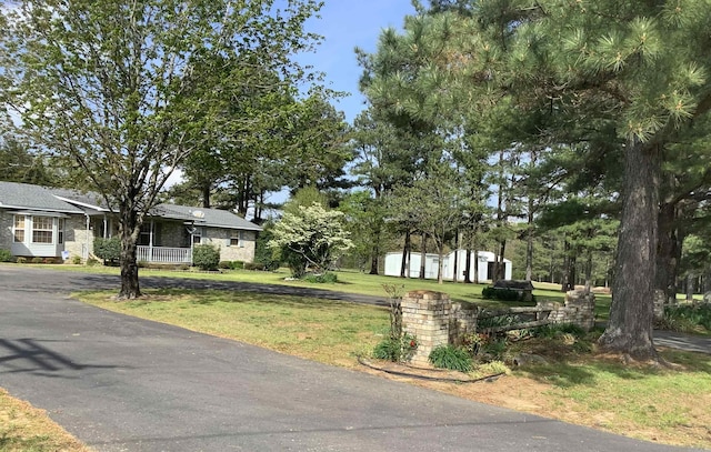 view of front of house with a front yard