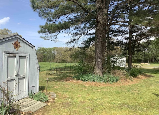 view of yard with a storage shed