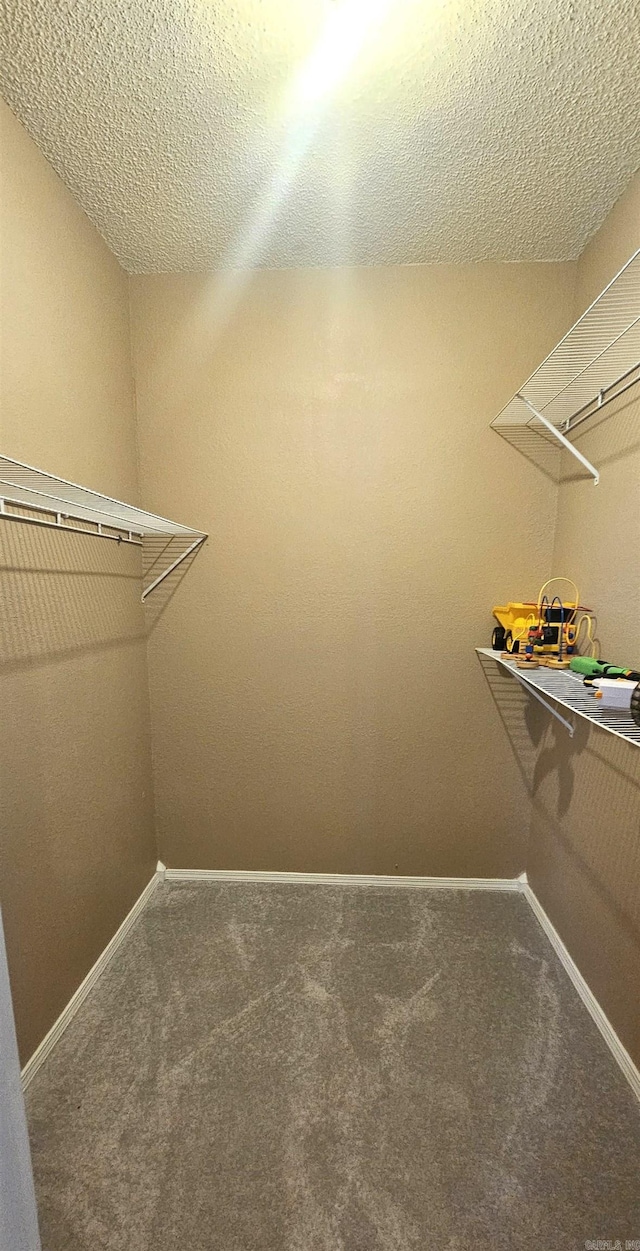 walk in closet featuring carpet flooring