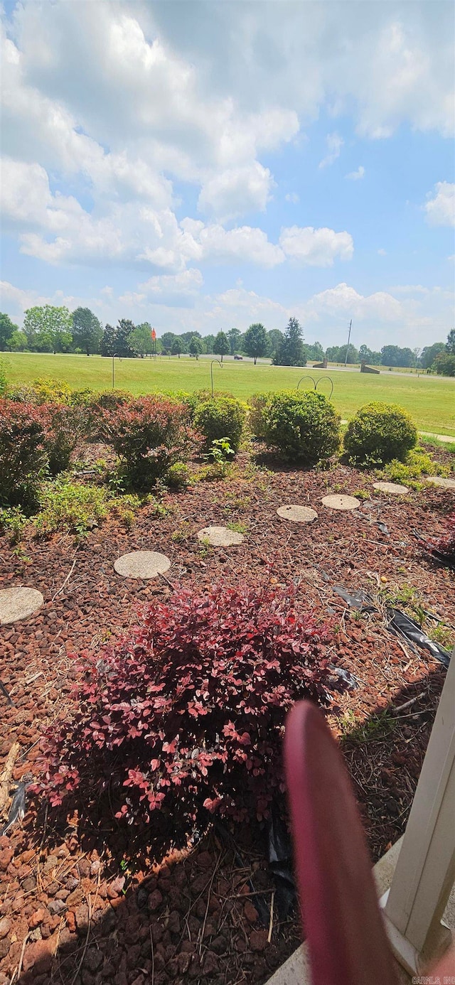 view of yard with a rural view