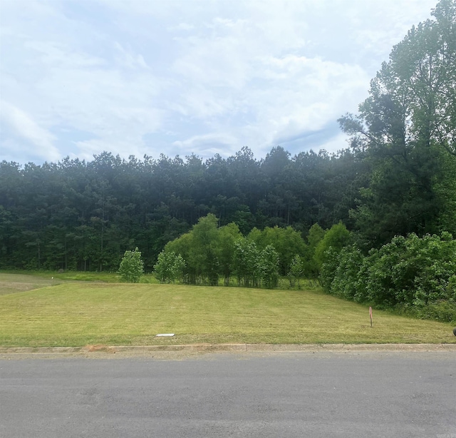 Listing photo 2 for LOT48 Willowbrook St, Arkadelphia AR 71923