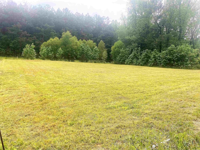 Listing photo 3 for LOT48 Willowbrook St, Arkadelphia AR 71923