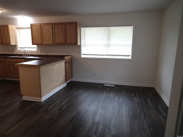 kitchen featuring dark hardwood / wood-style floors and sink