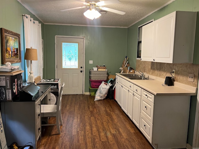 kitchen featuring crown molding, dark hardwood / wood-style floors, sink, ceiling fan, and a textured ceiling