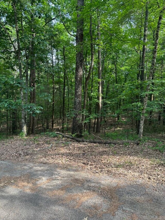 LOT61 W Clf, Fairfield Bay AR, 72088 land for sale