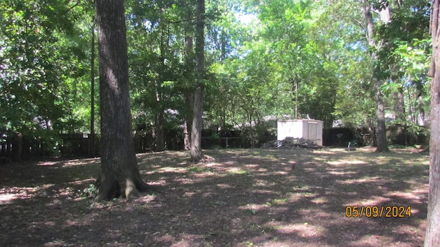 view of yard featuring a shed