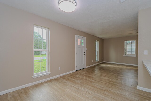 entryway with light hardwood / wood-style floors and a healthy amount of sunlight