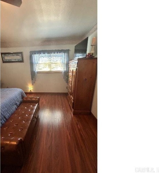 bedroom with dark hardwood / wood-style flooring