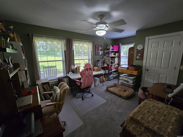 interior space with plenty of natural light and ceiling fan