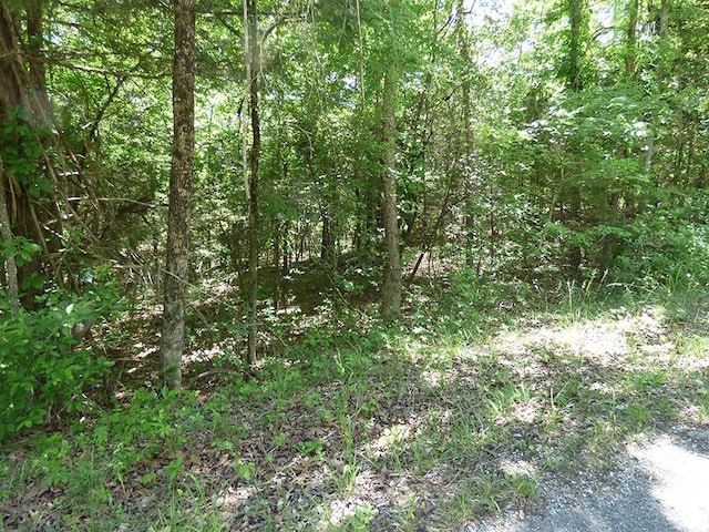 Address Not Disclosed, Horseshoe Bend AR, 72512 land for sale