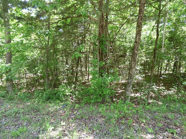 Listing photo 2 for Address Not Disclosed, Horseshoe Bend AR 72512