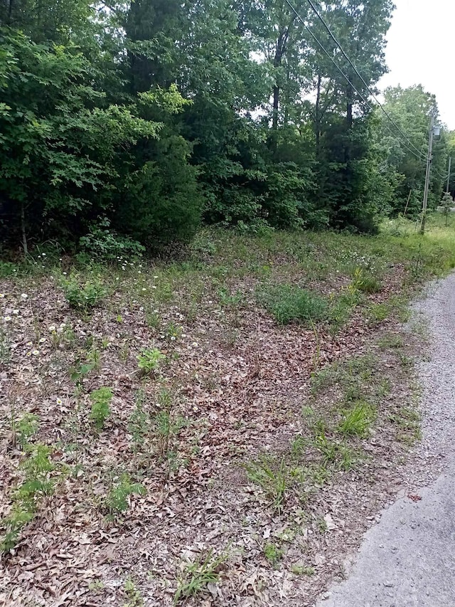 Listing photo 2 for LOT17BLK3 Woodland Hills Rd, Hardy AR 72542