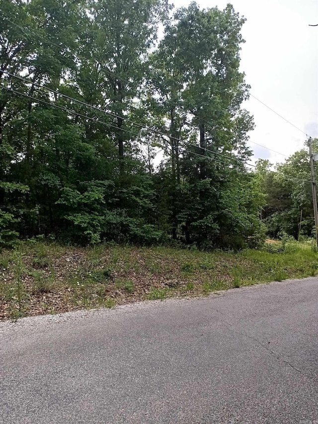 Listing photo 3 for LOT17BLK3 Woodland Hills Rd, Hardy AR 72542