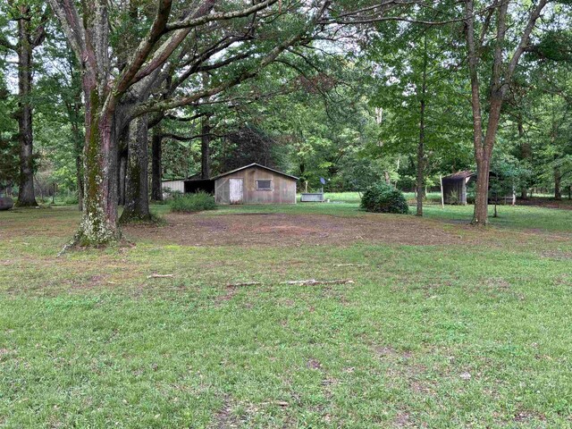 view of yard featuring an outdoor structure