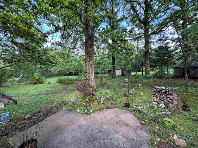 view of yard featuring a storage unit