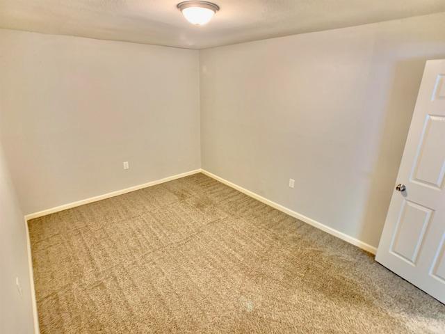 spare room with carpet