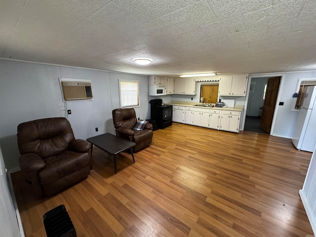 living room featuring sink, light hardwood / wood-style floors, and an AC wall unit