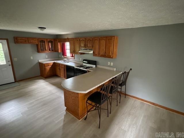 kitchen with light hardwood / wood-style floors, plenty of natural light, and gas range gas stove