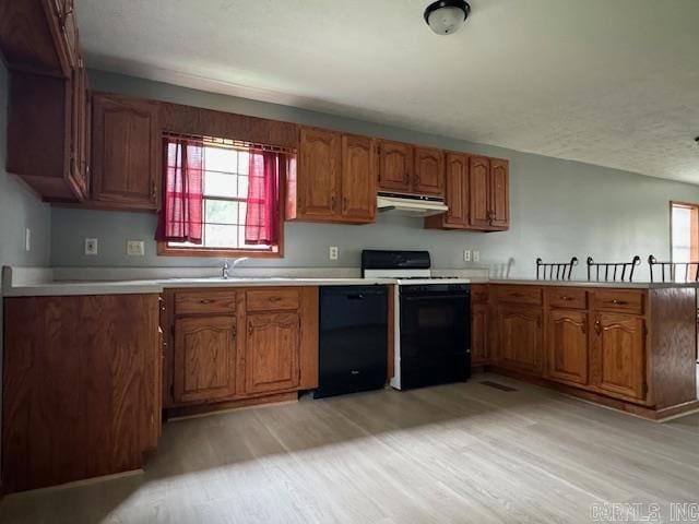 kitchen featuring light hardwood / wood-style floors, sink, white stove, and dishwasher