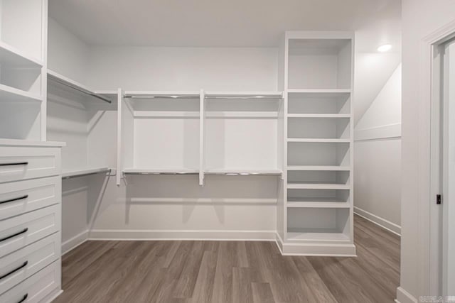 walk in closet featuring hardwood / wood-style floors