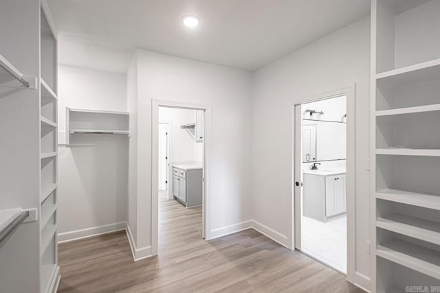 spacious closet featuring sink and light wood-type flooring