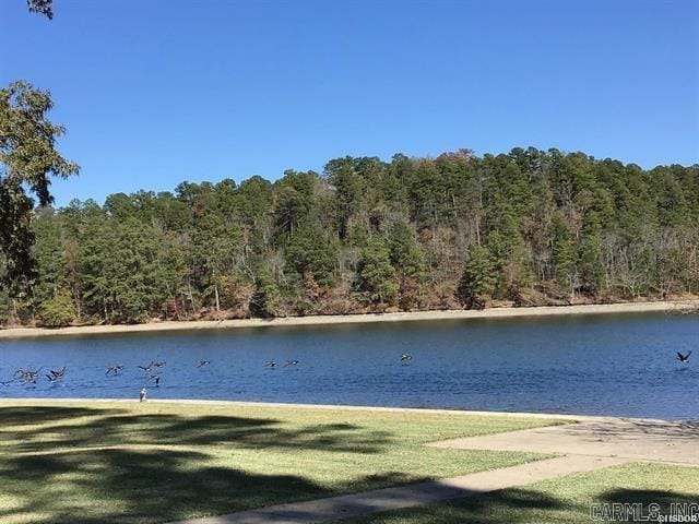 property view of water