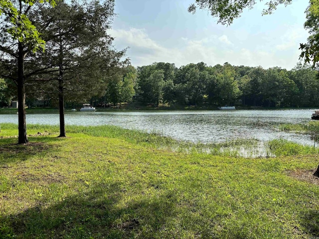 Listing photo 3 for LOT31 Enid Dr, Cherokee Village AR 72529