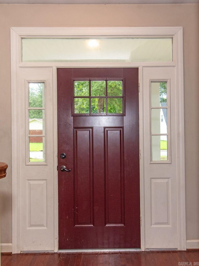 entrance foyer with wood-type flooring