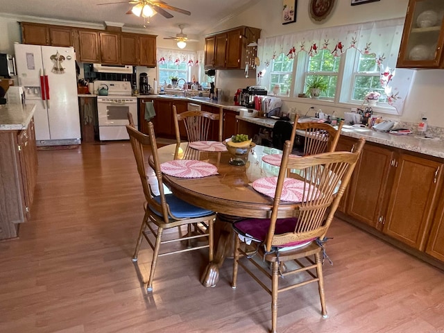 dining area with sink, plenty of natural light, ceiling fan, and light wood-type flooring