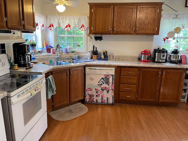 kitchen featuring ceiling fan, sink, white appliances, and light wood-type flooring