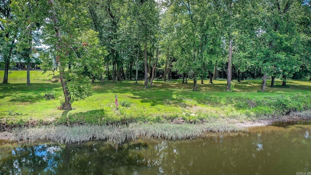 view of nature featuring a water view