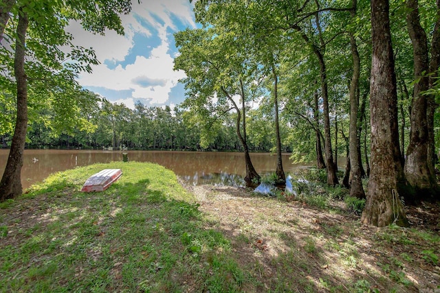 view of yard with a water view