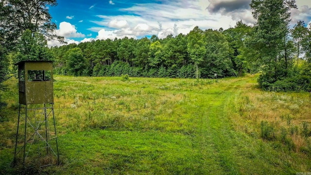 view of local wilderness