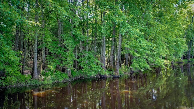 view of nature with a water view