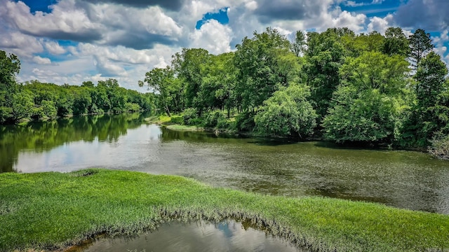 view of water feature