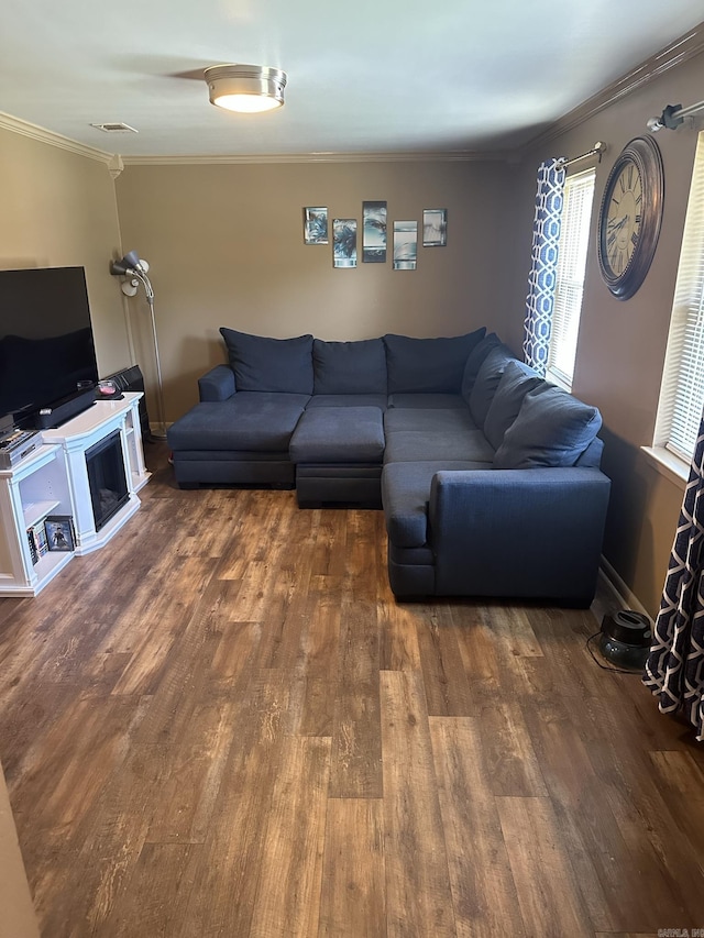 living room with ornamental molding and hardwood / wood-style flooring