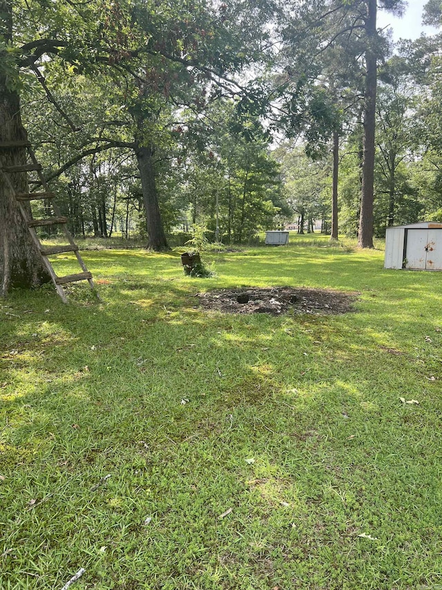 view of yard featuring a storage unit