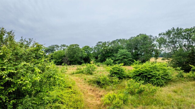 000 Skunk Hollow Rd, Conway, AR 72032