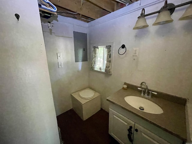 bathroom featuring vanity and electric panel