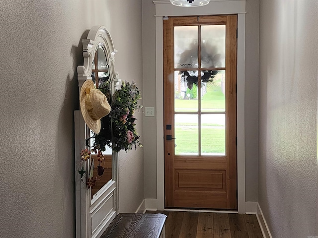 entryway with dark hardwood / wood-style flooring