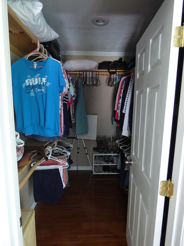 spacious closet featuring wood-type flooring