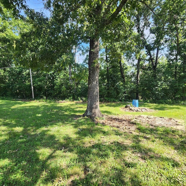 1947 63rd Hwy, Hardy, AR 72542 - view of yard