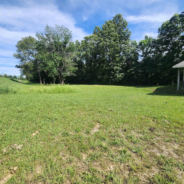 1947 63rd Hwy, Hardy, AR 72542 - view of yard