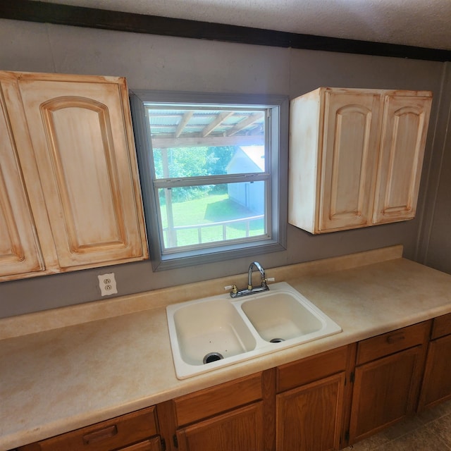 kitchen with sink