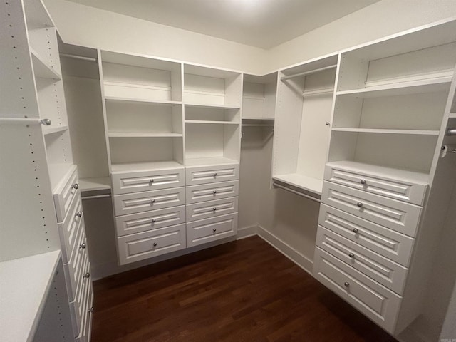 spacious closet with dark wood finished floors