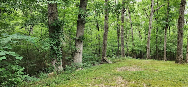 view of local wilderness