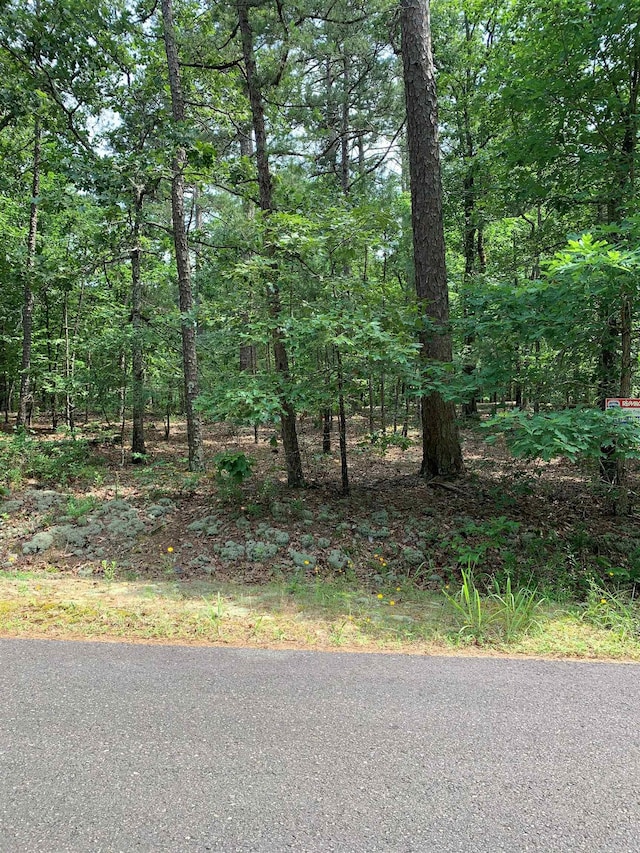 30 Alava Cir, Hot Springs Village AR, 71909 land for sale