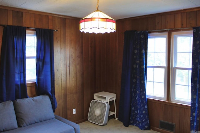 interior space with carpet and wood walls