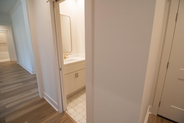 hall featuring wood-type flooring and sink