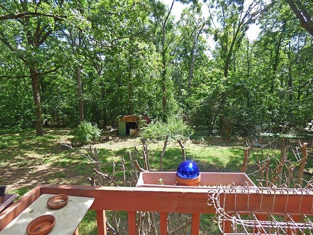 view of yard with a storage shed